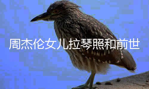儿拉儿叫人M琴照名字伦女伦女和前V一样 周杰周杰世情什么